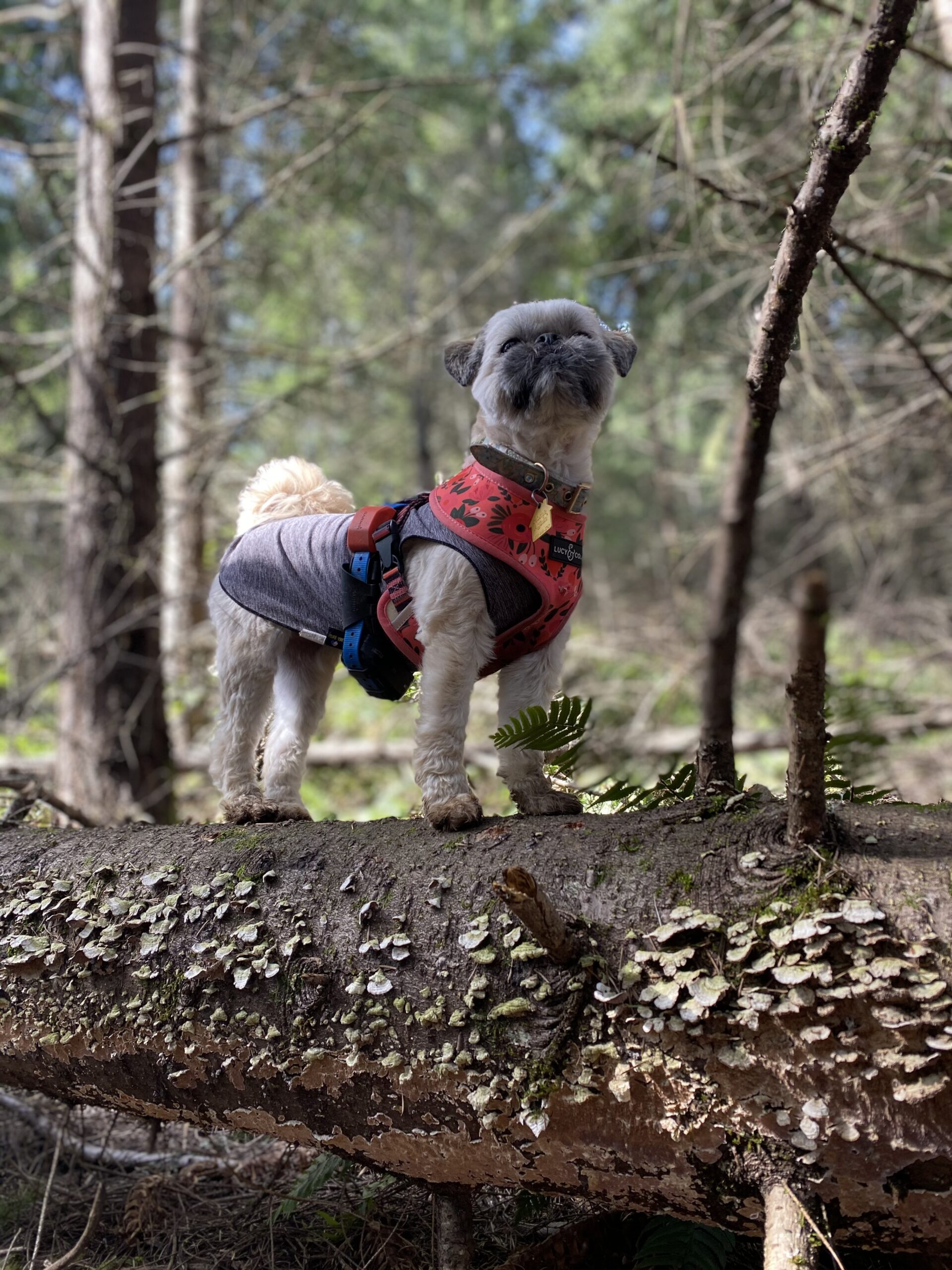 Copy of IMG 73171 scaled