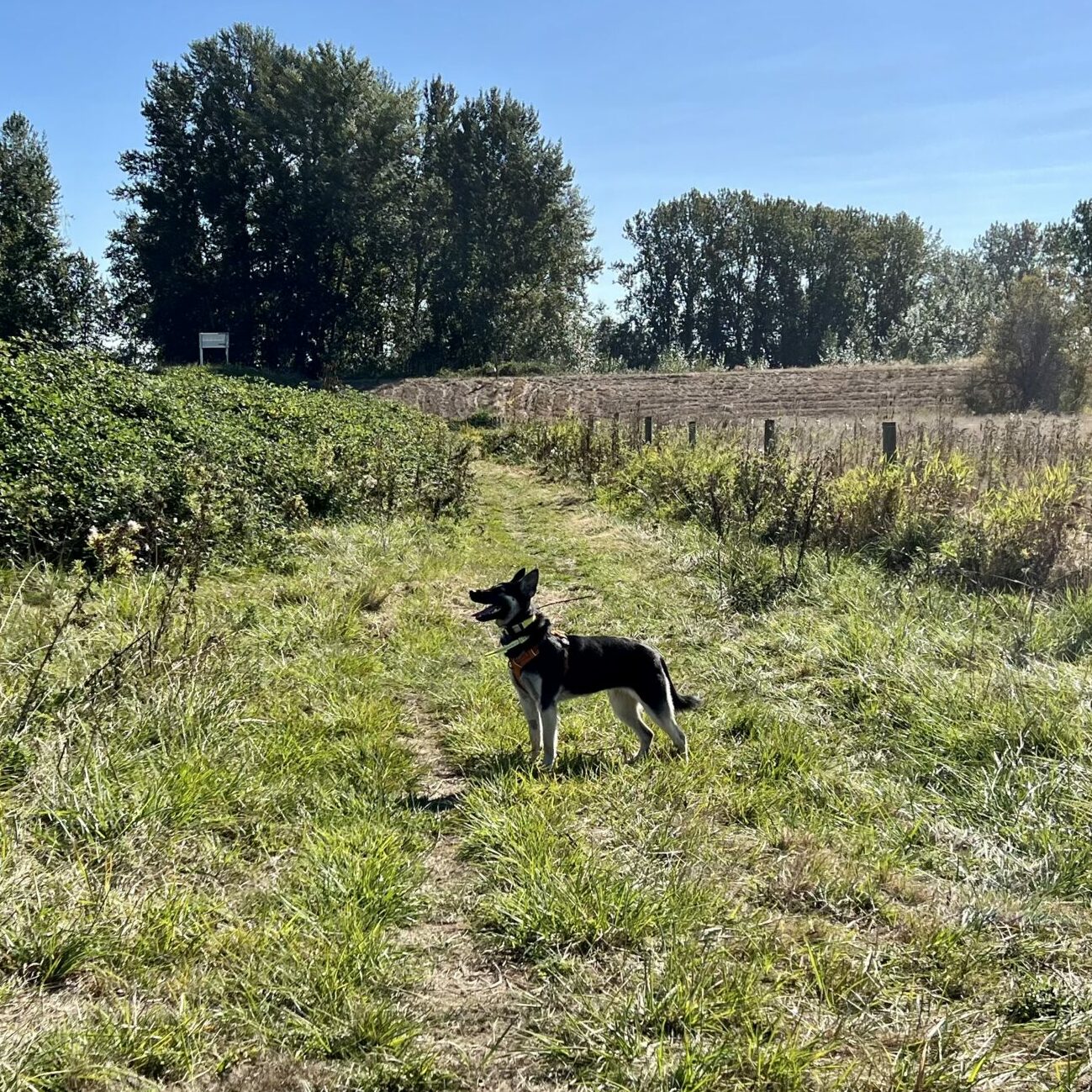 IMG_3457 IMG 3457 scaled e1670441108973