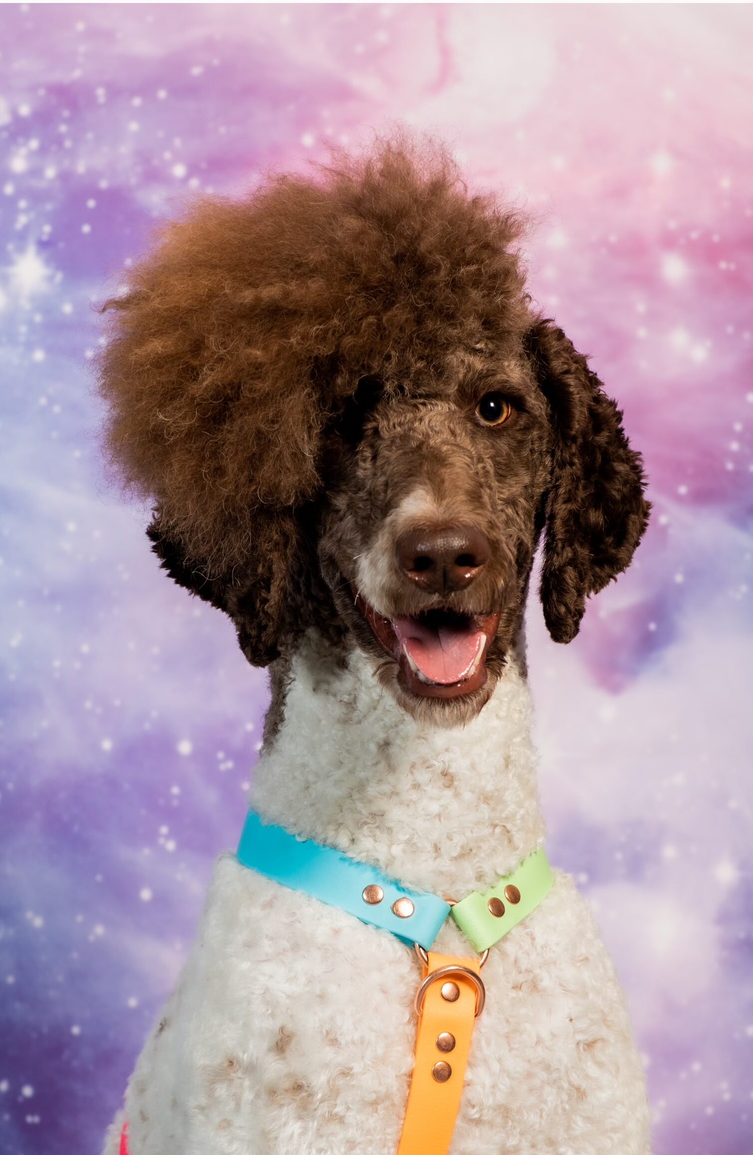 tino15 1 e1669686569627