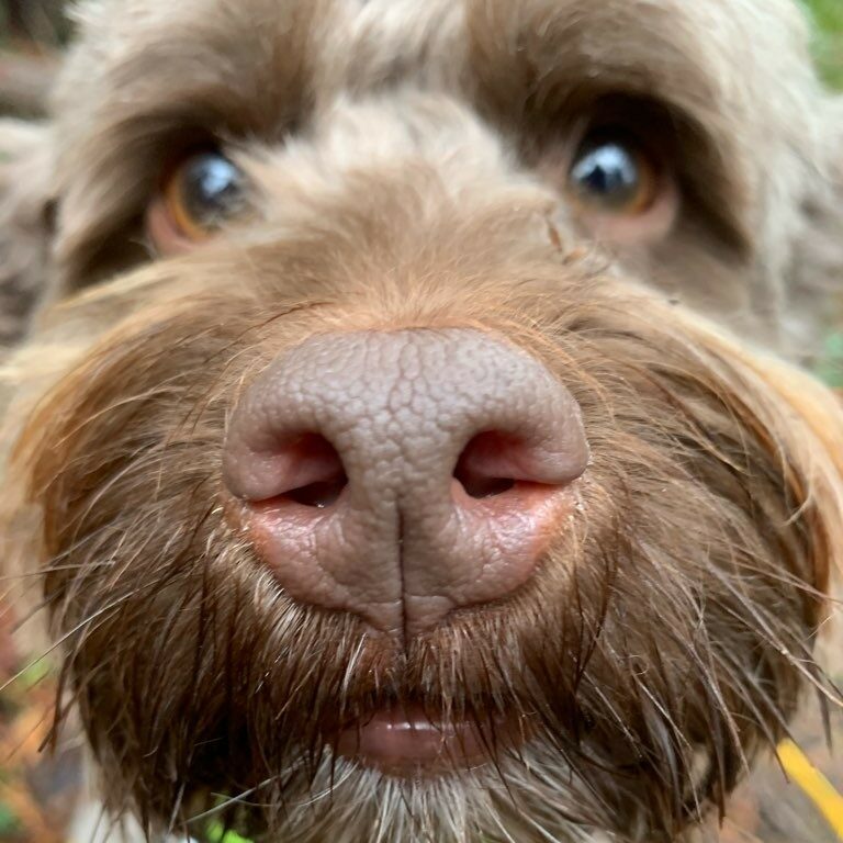 Bartleby Bartleby e1670440776816