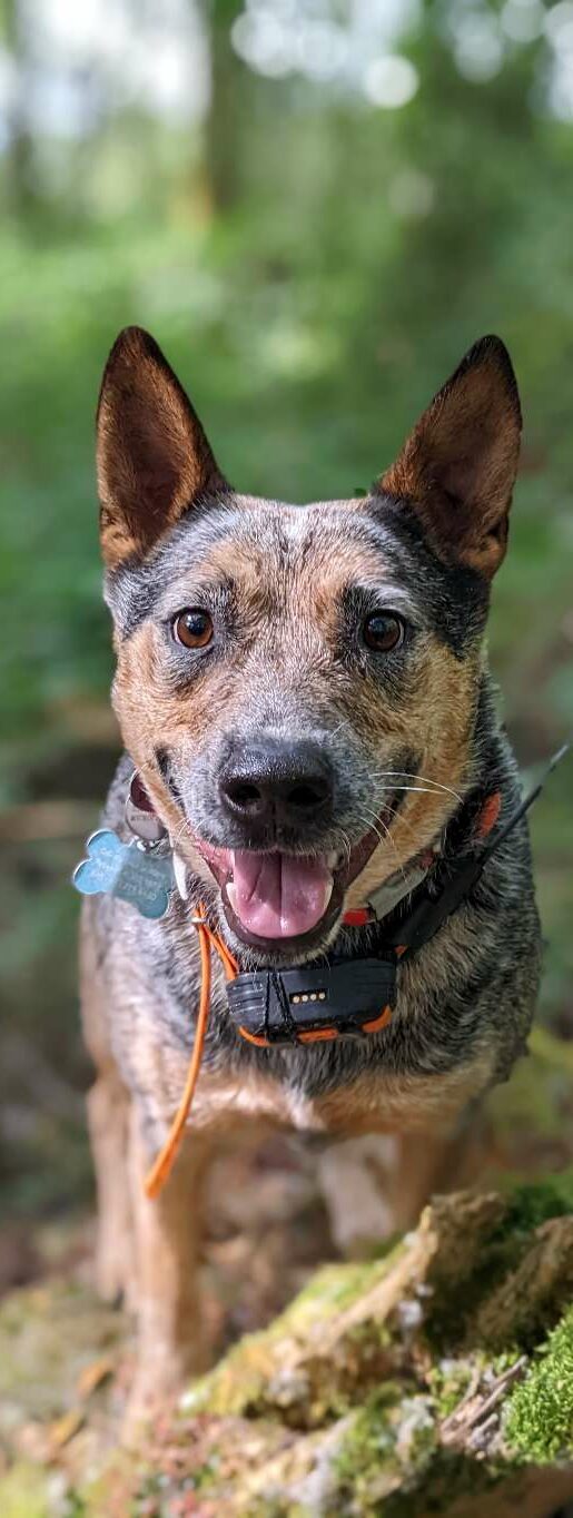 Diego Diego e1670445429784