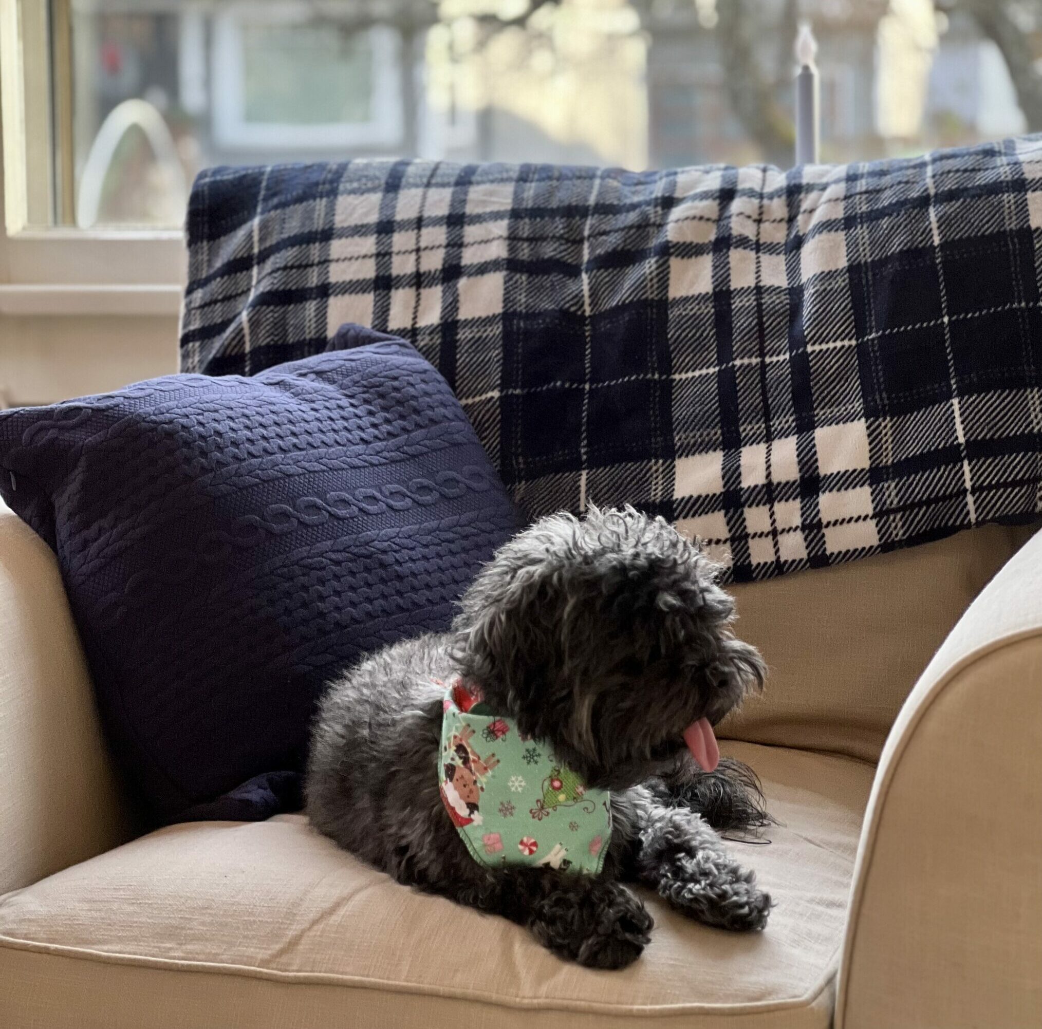 IMG_6556 IMG 6556 scaled e1672264410912