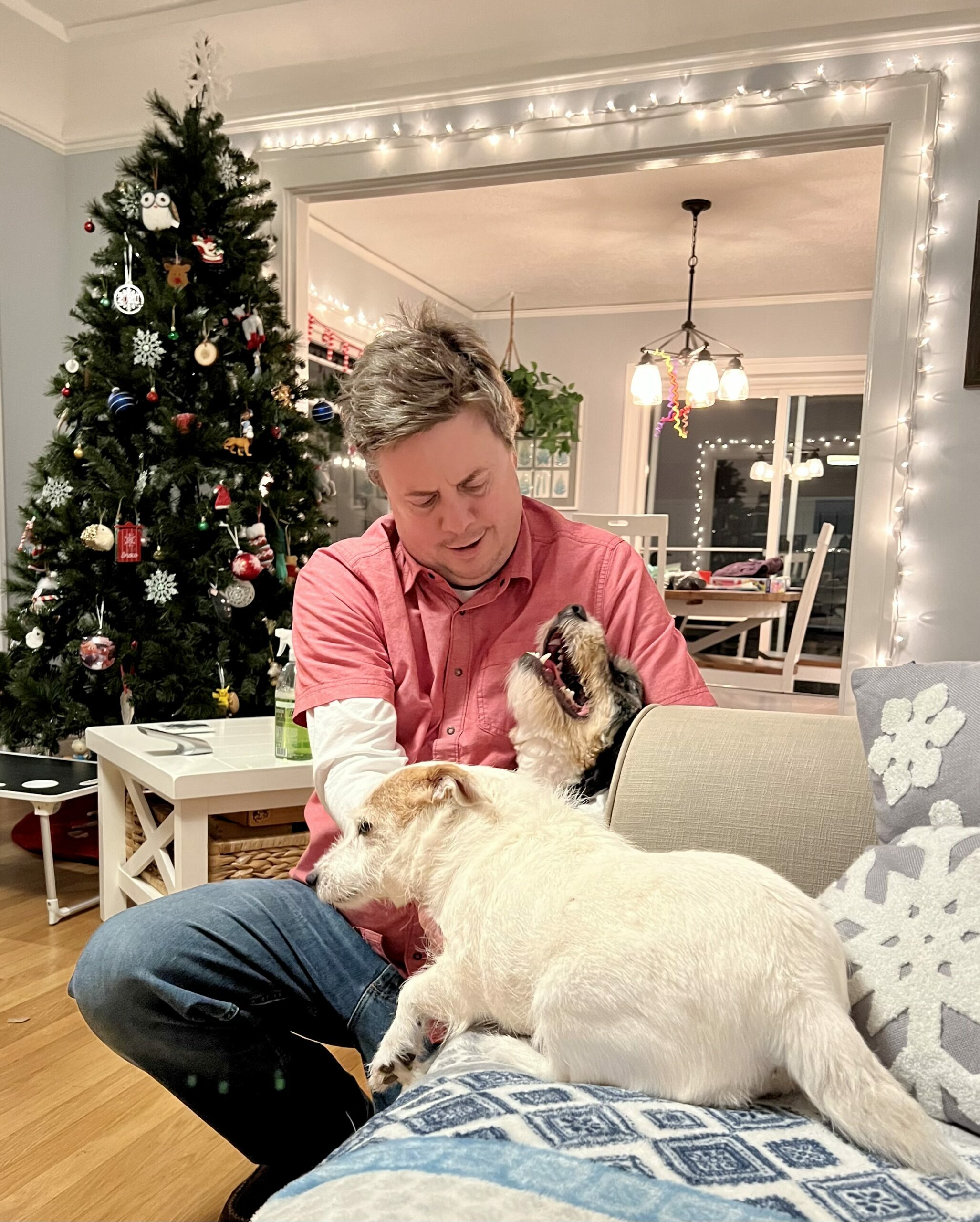 IMG 7459 scaled e1681847574166