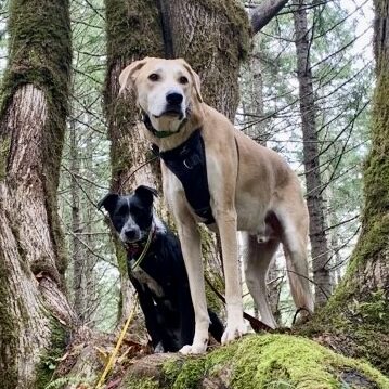 Rye and Harley2 2 Rye and Harley2 2 e1670443407113