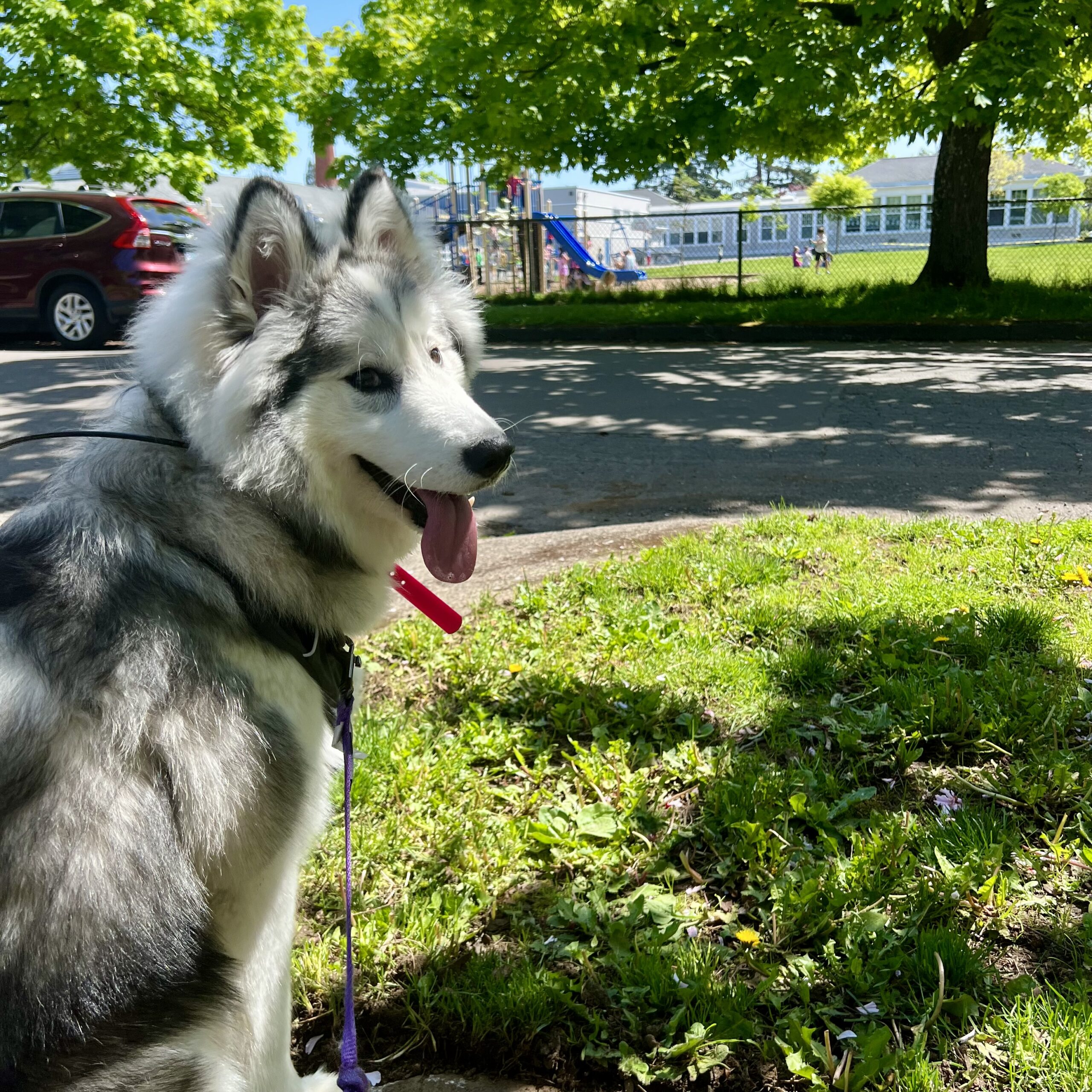 Nova 3 Nova 3 scaled