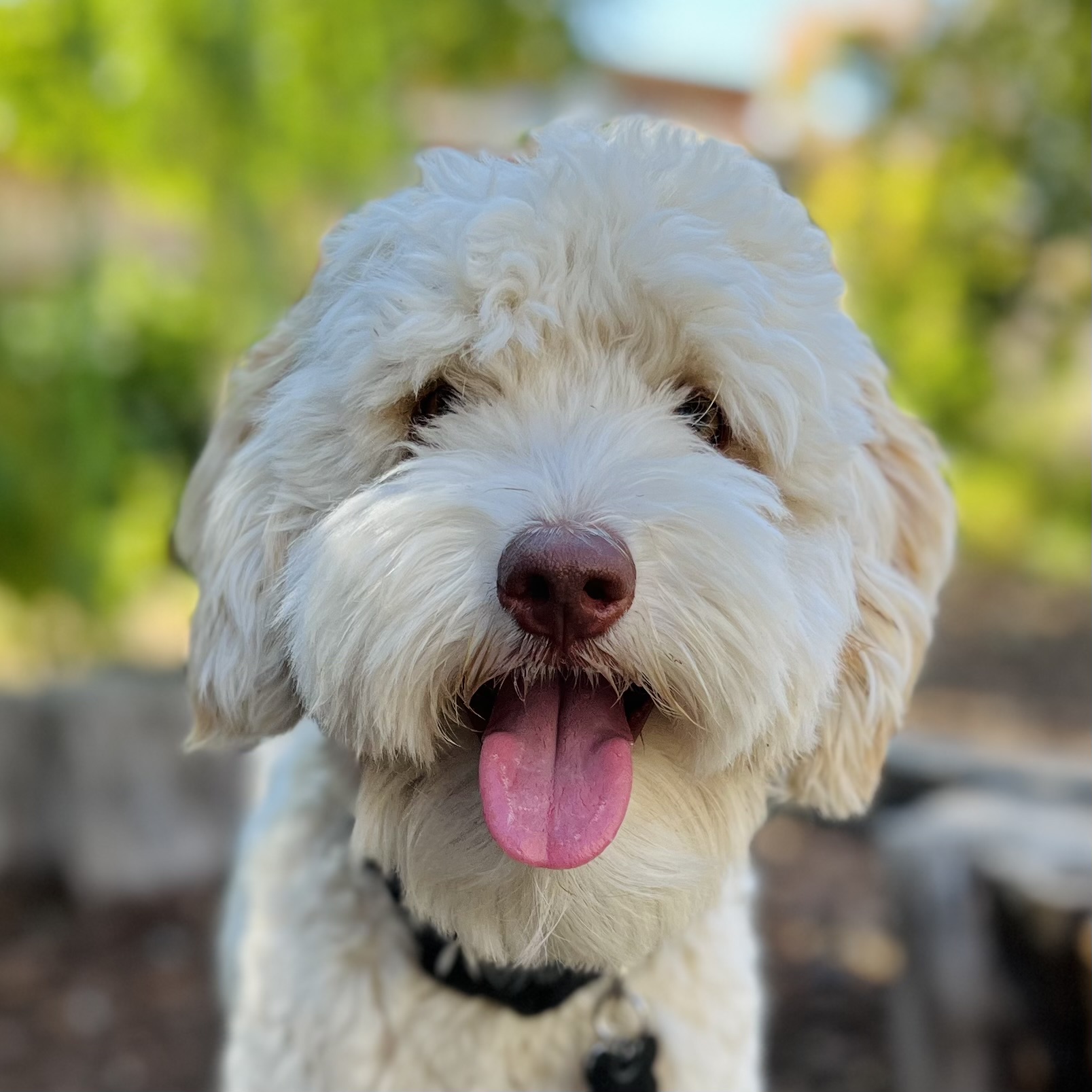 IMG_5794 2 IMG 5794 2