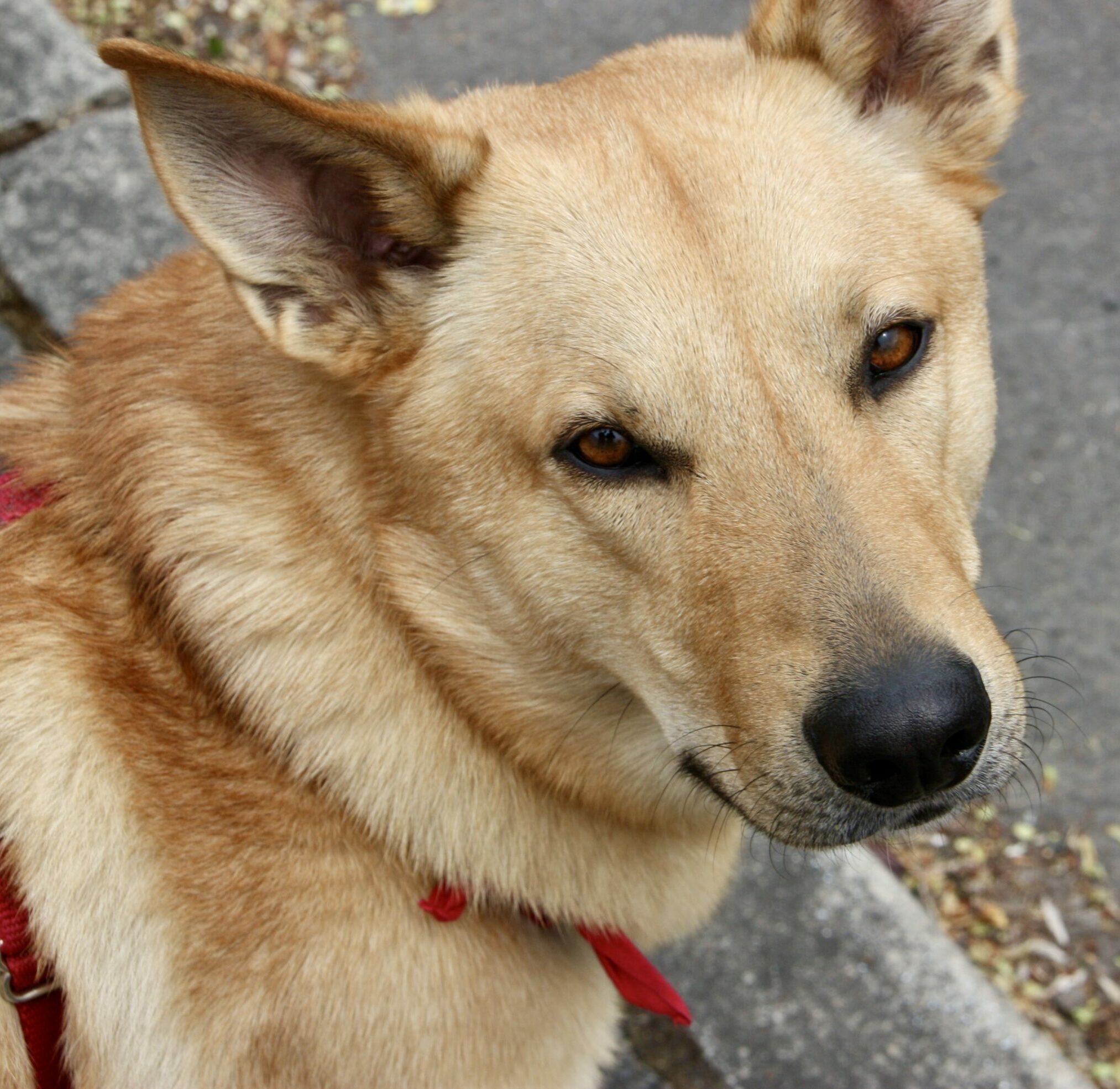 IMG 5249 2009 04 22 scaled e1707255919477