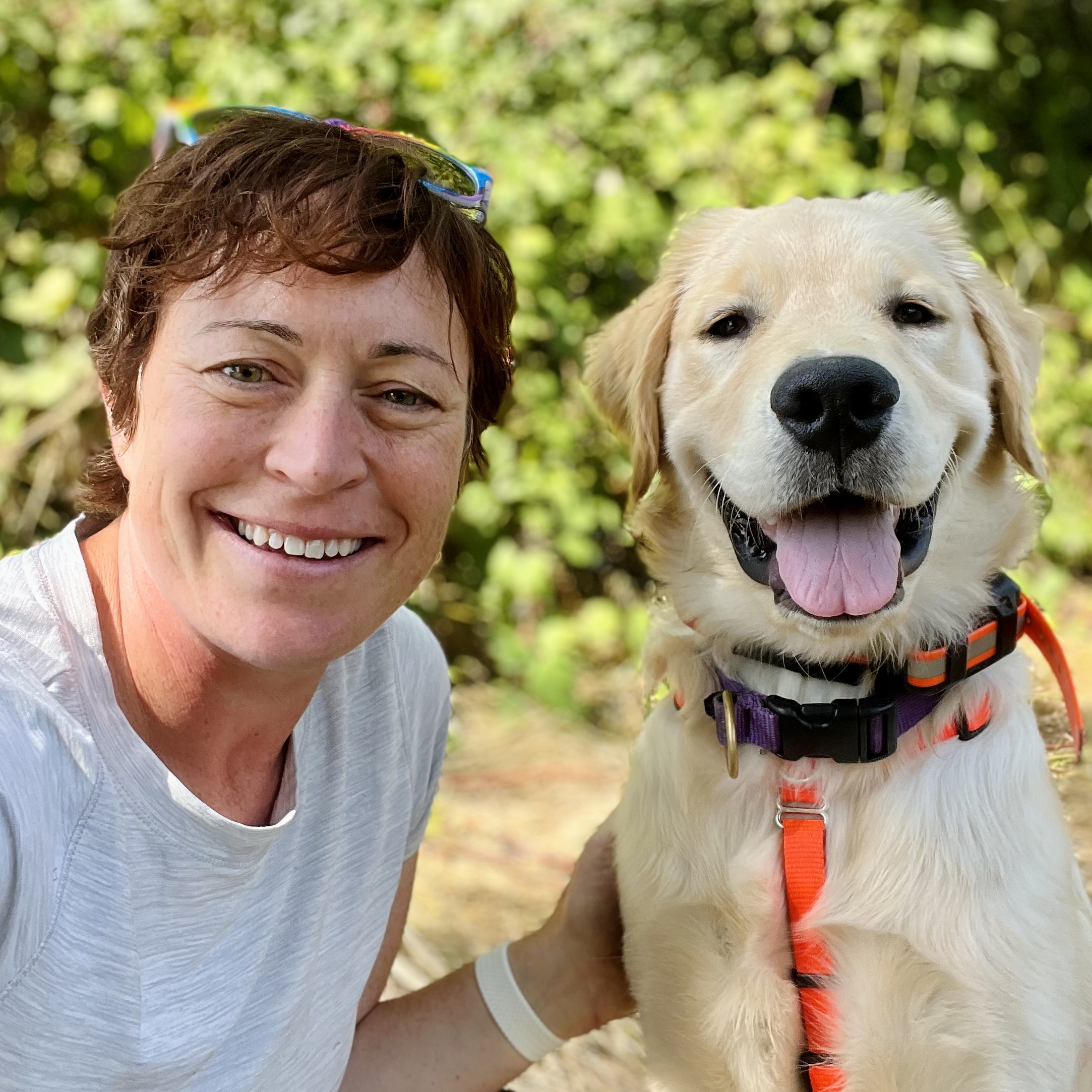 Kerry Ryan, Dog Trainer