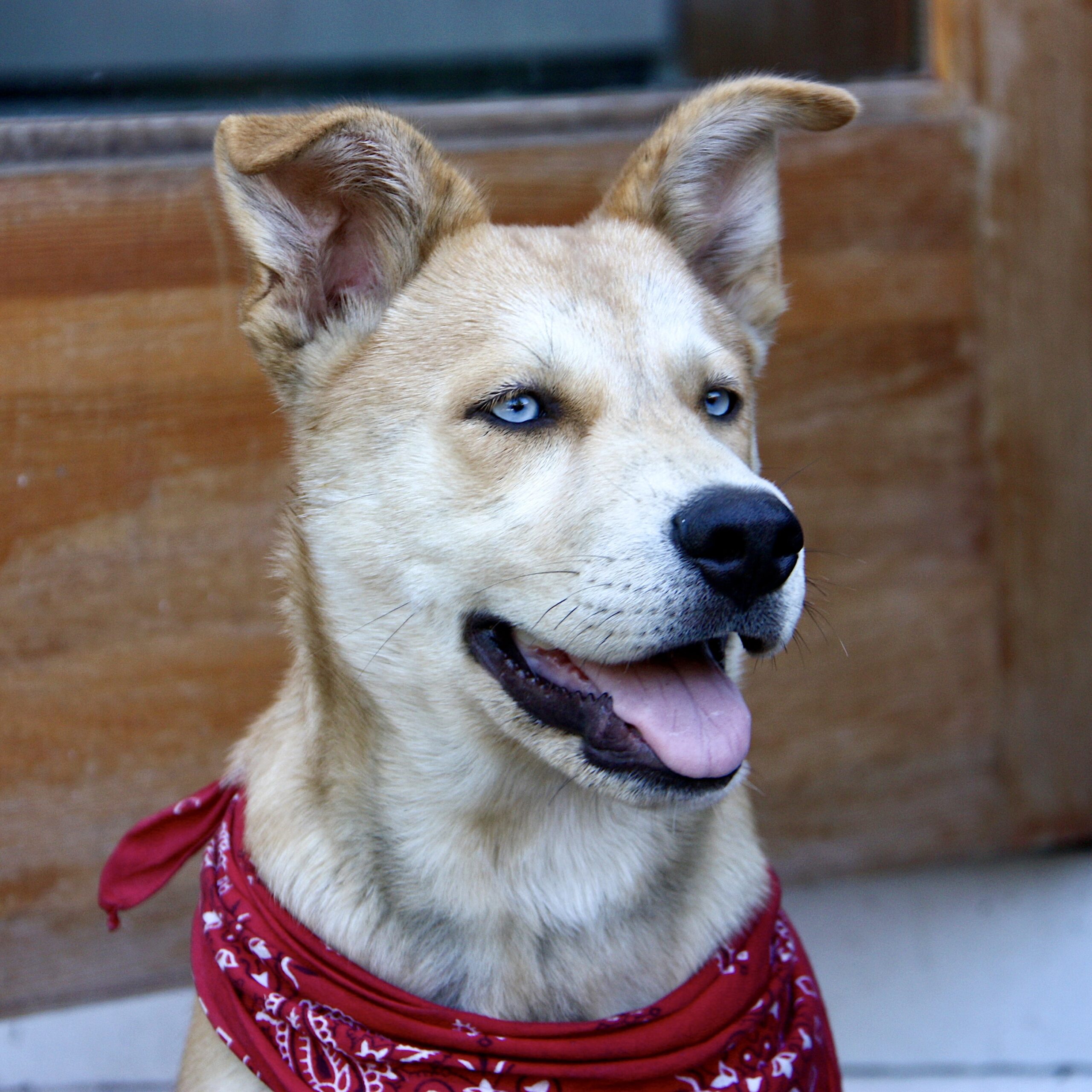 IMG 8637 2009 09 10 scaled