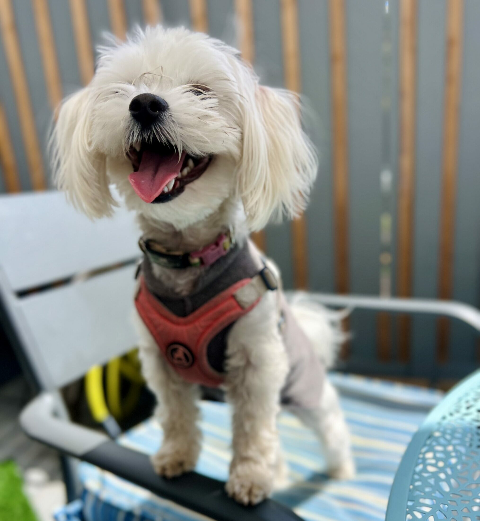 IMG 3148 scaled e1714852317520