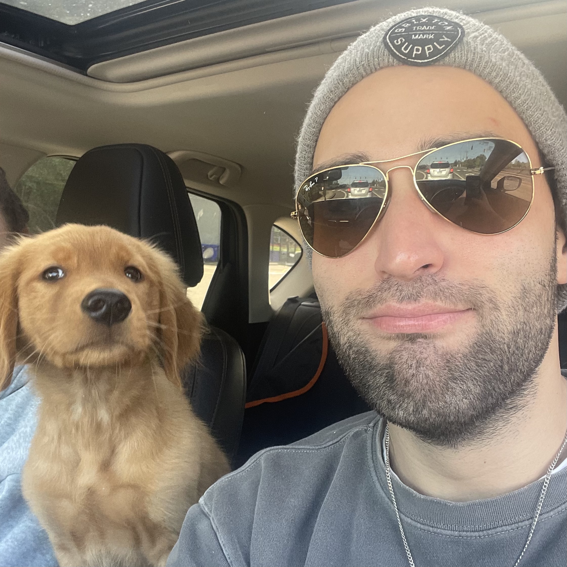 image0 (11) 2 image0 11 2