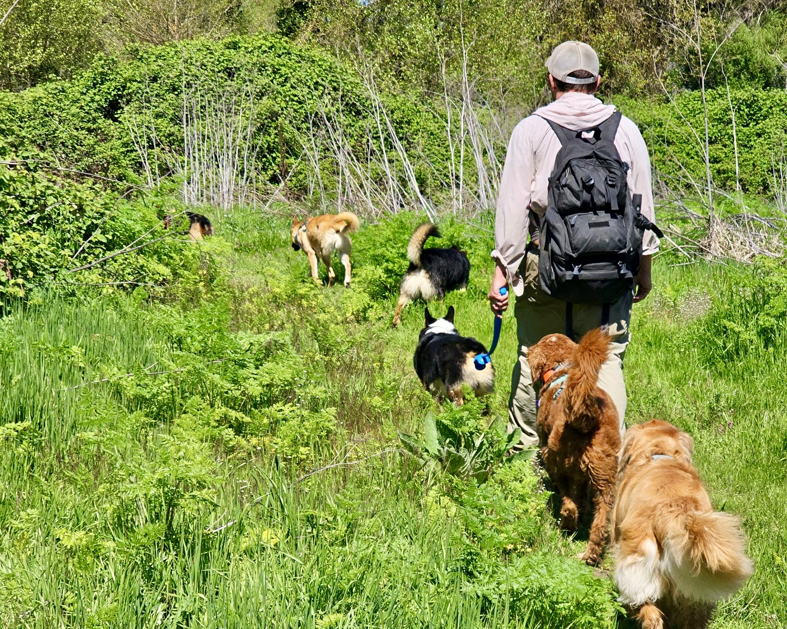 5903589366413117988 2