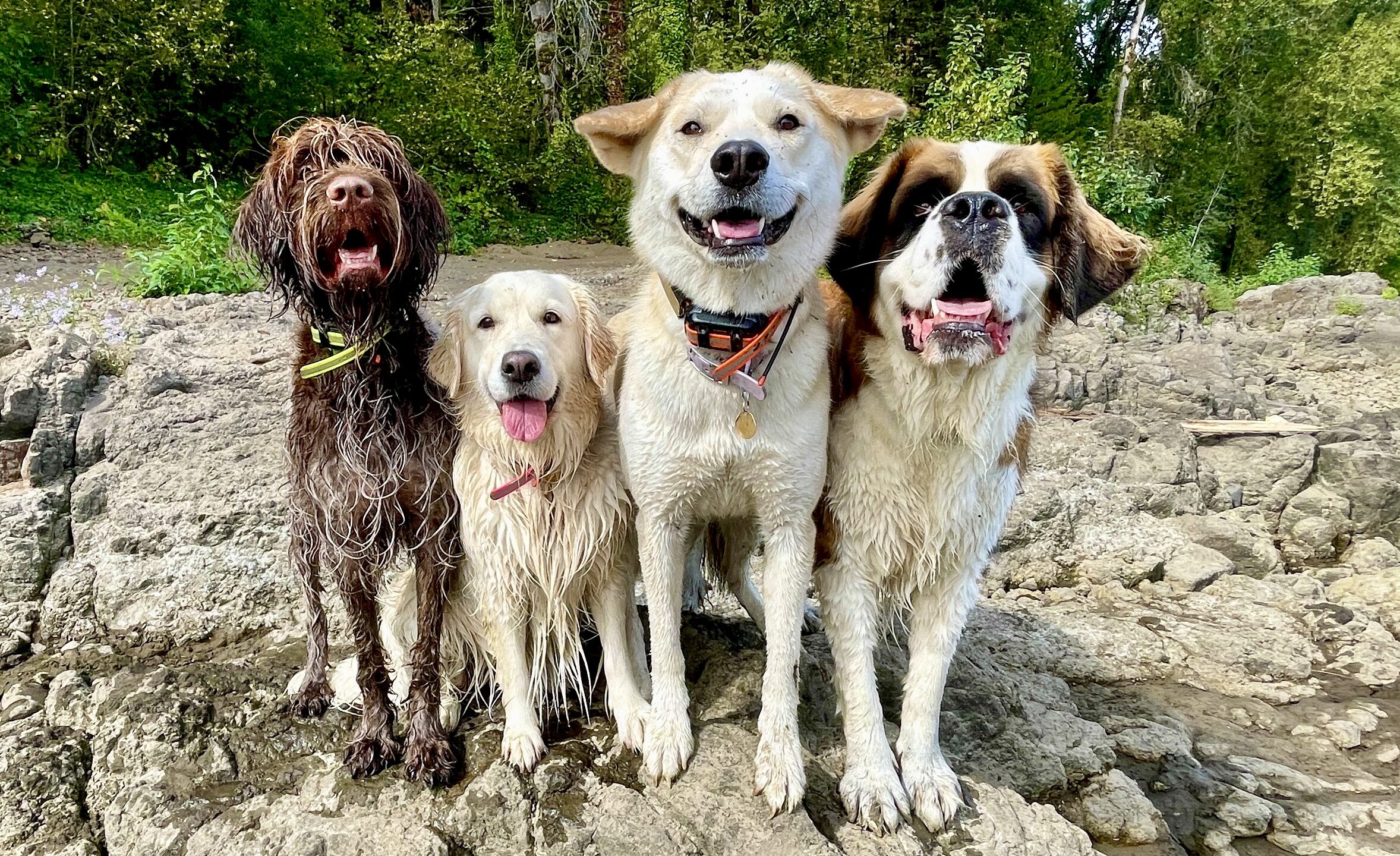 IMG 3645 e1756406411467