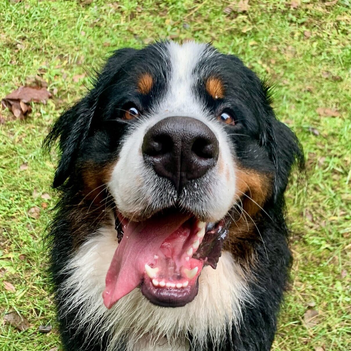 IMG_6870 IMG 6870 e1756485509602