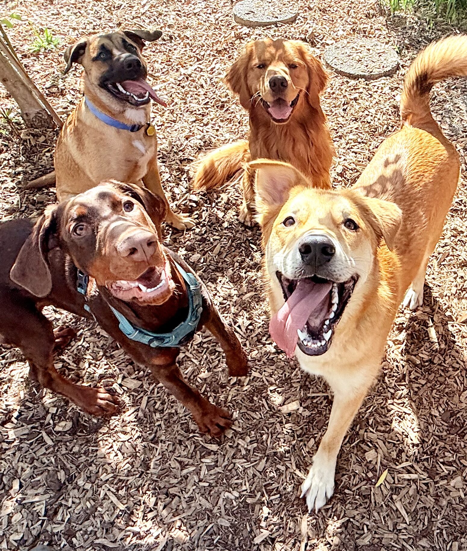 IMG 4780 e1757365145454