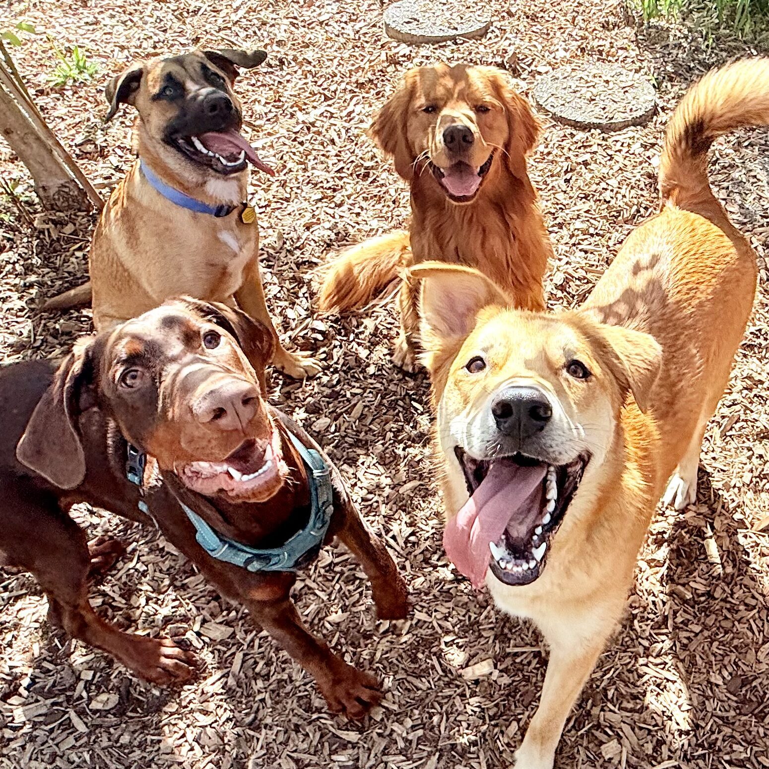 IMG_4780 IMG 4780 e1769380662238