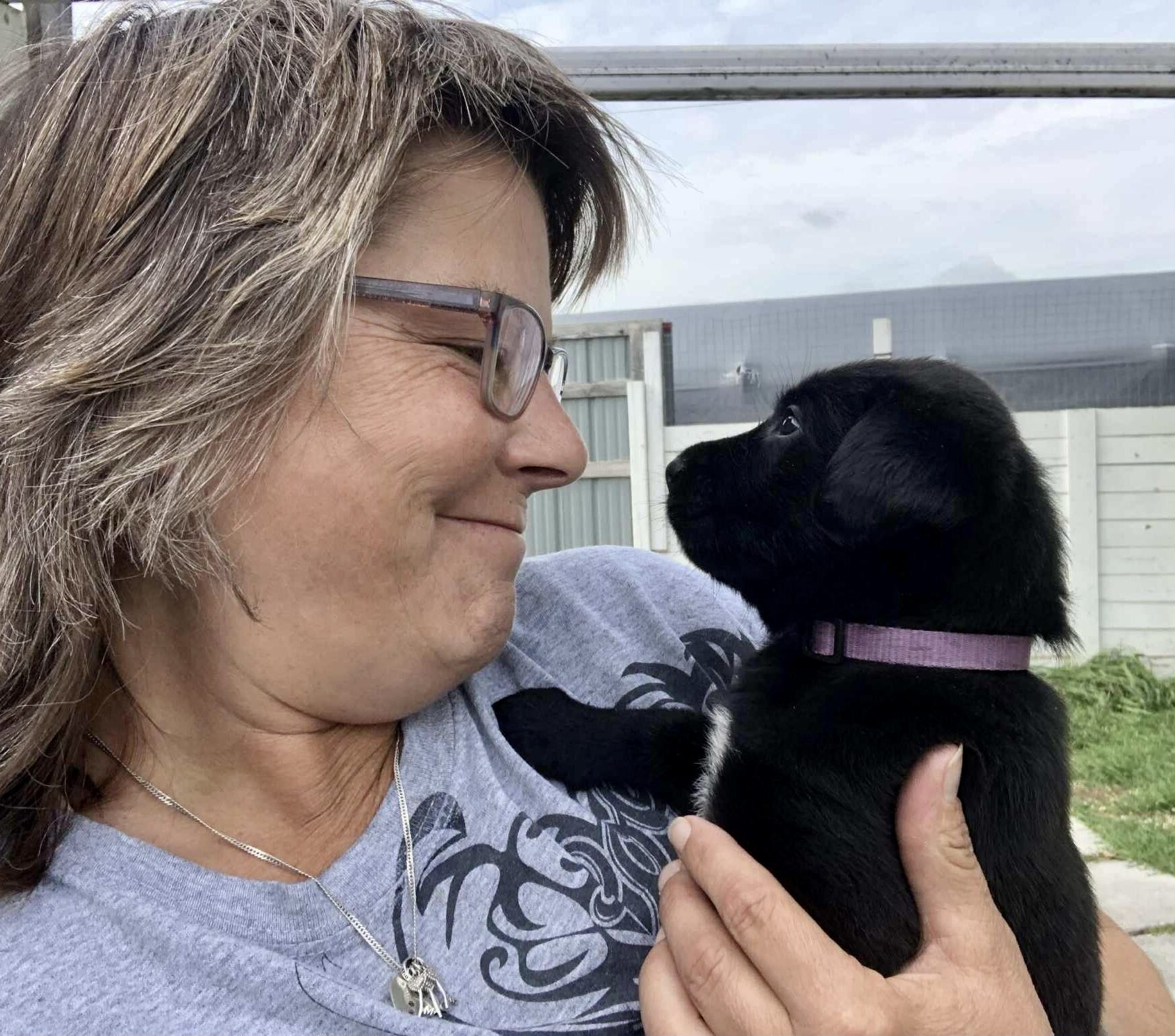 cute-pup cute pup e1769380496222