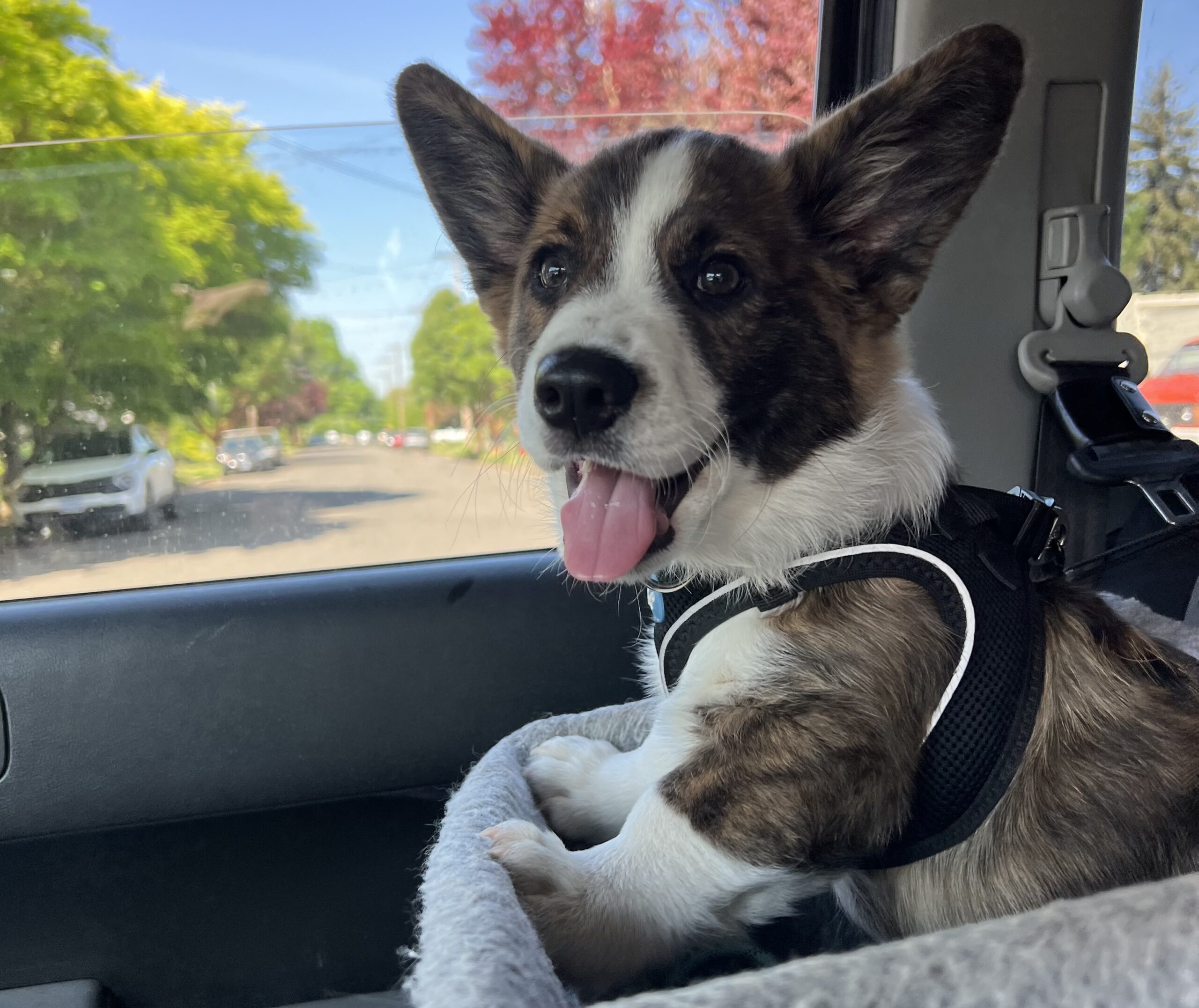 DANW Standard Post Template DANW Standard Post Template