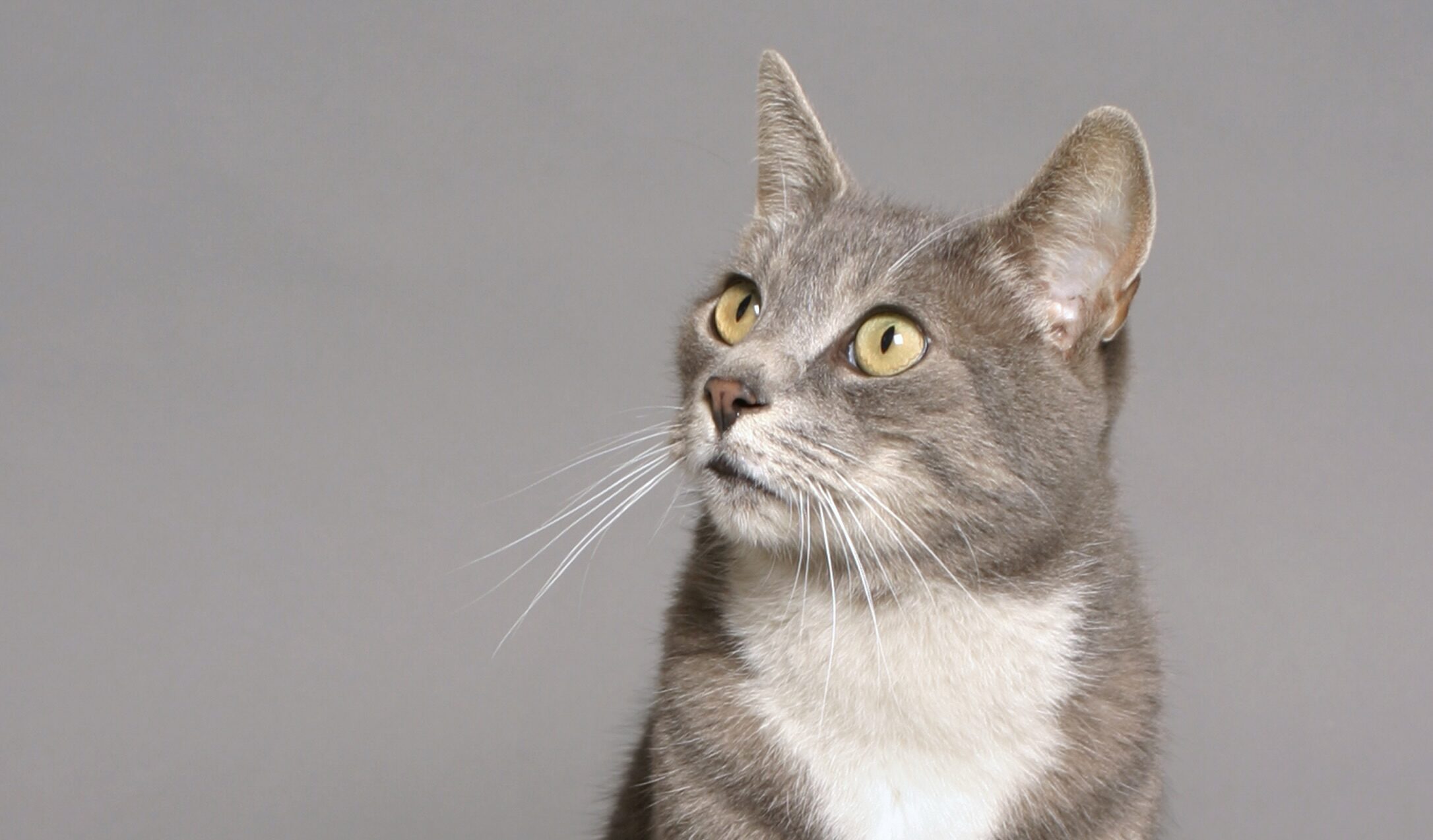 DANW Standard Post Template DANW Standard Post Template