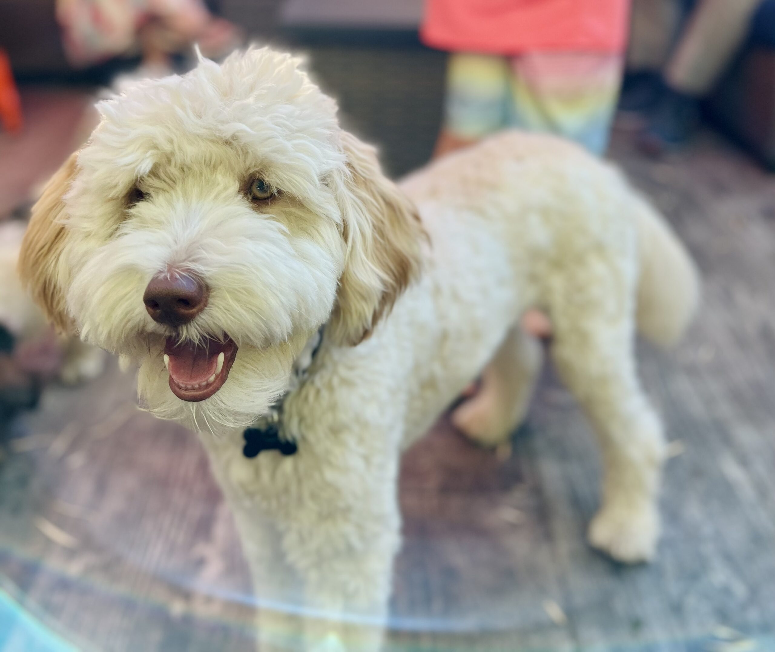 DANW Standard Post Template DANW Standard Post Template