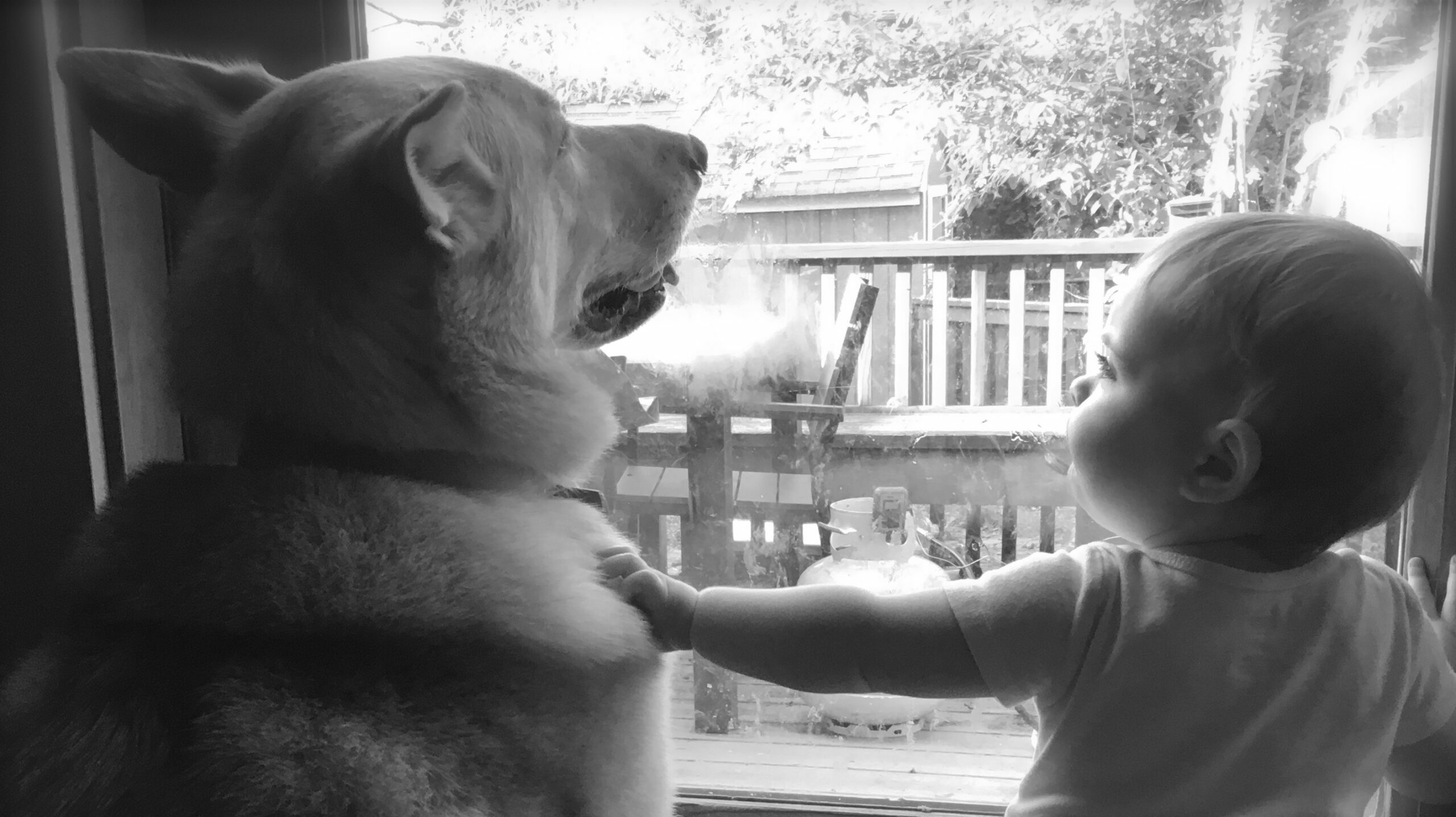 DANW Standard Post Template DANW Standard Post Template