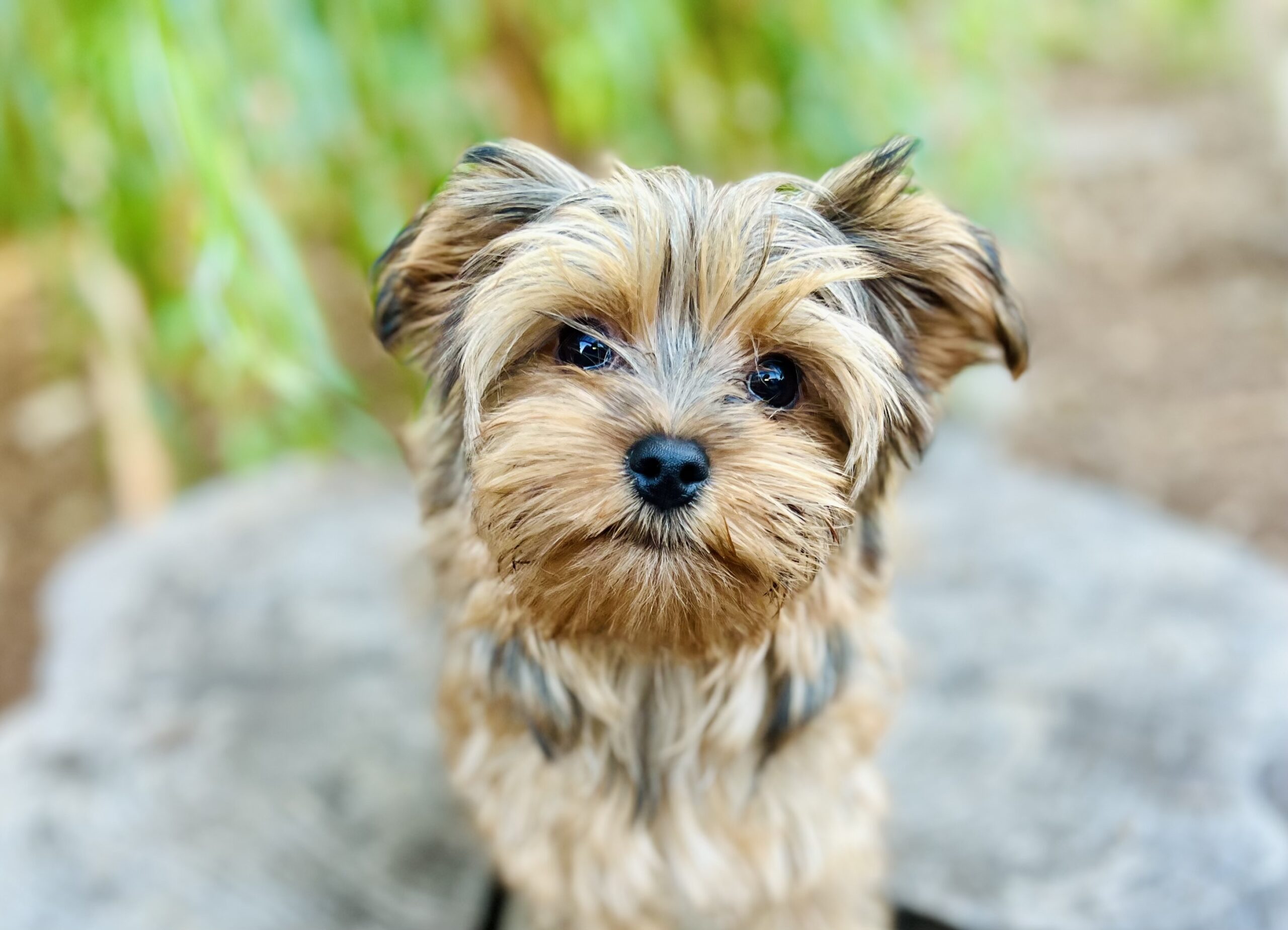 DANW Standard Post Template DANW Standard Post Template