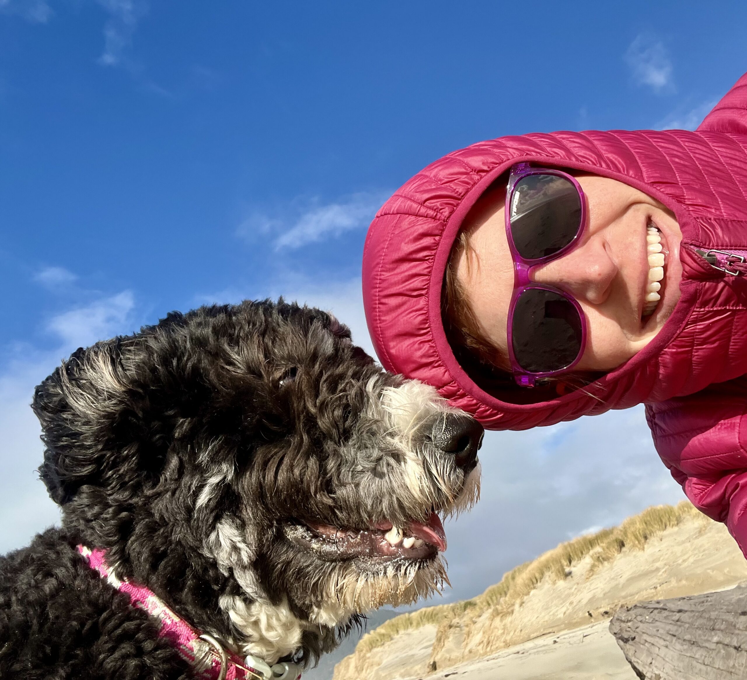 DANW Standard Post Template